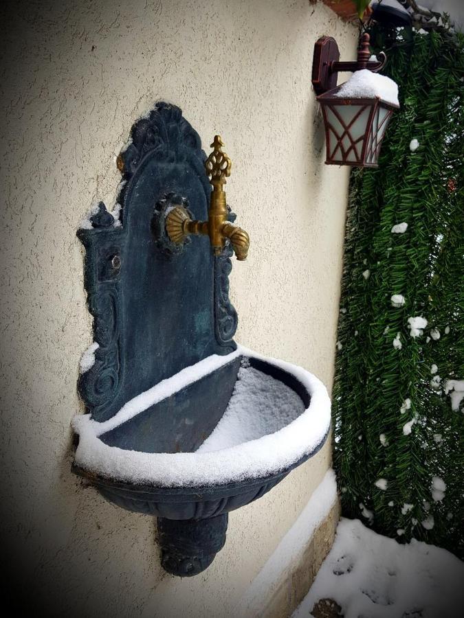 Casa Vivaldi Hotel Velingrad Bagian luar foto